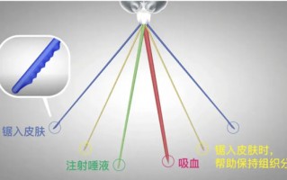 拍死正在吸血的蚊子,嘴会断在肉里吗 拍死正在吸血的蚊子,嘴会断在肉里吗
