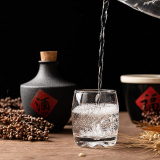 长期大量饮酒对人体的哪个脏器损害最严重？