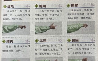 【视频】健身气功五禽戏详细教学,每一步都有讲解 【视频】健身气功五禽戏详细教学,每一步都有讲解